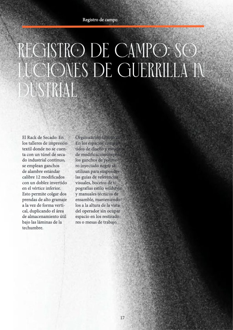 Revista_FloresDaniel — page 17