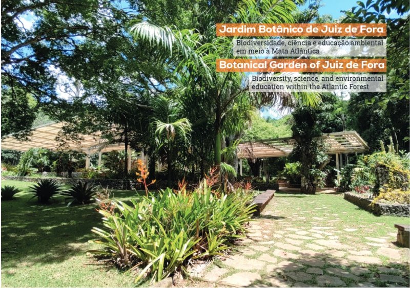 REVISTA DESCUBRA JUIZ DE FORA - DISCOVER JUIZ DE FORA — page 19