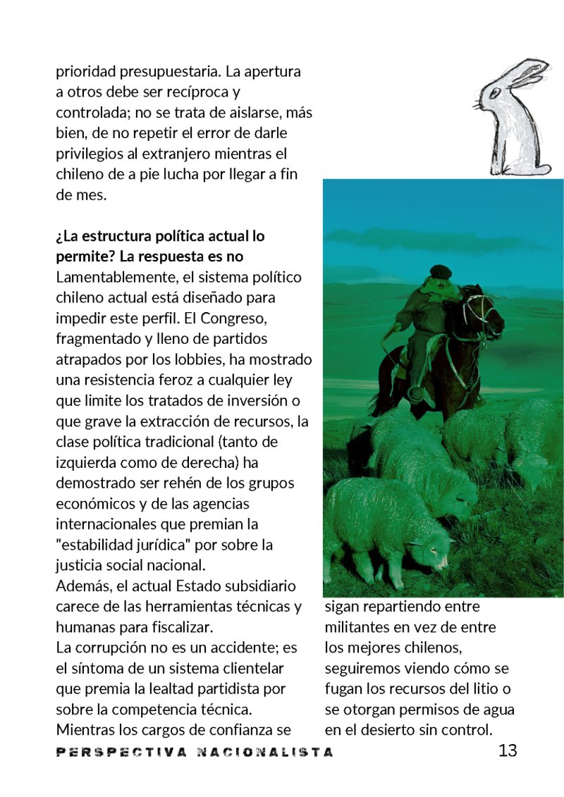 Perspectiva Nacionalista N1 — page 13