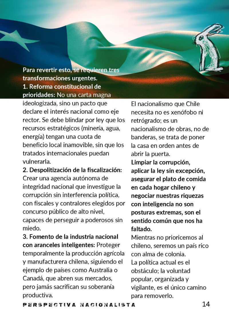 Perspectiva Nacionalista N1 — page 14