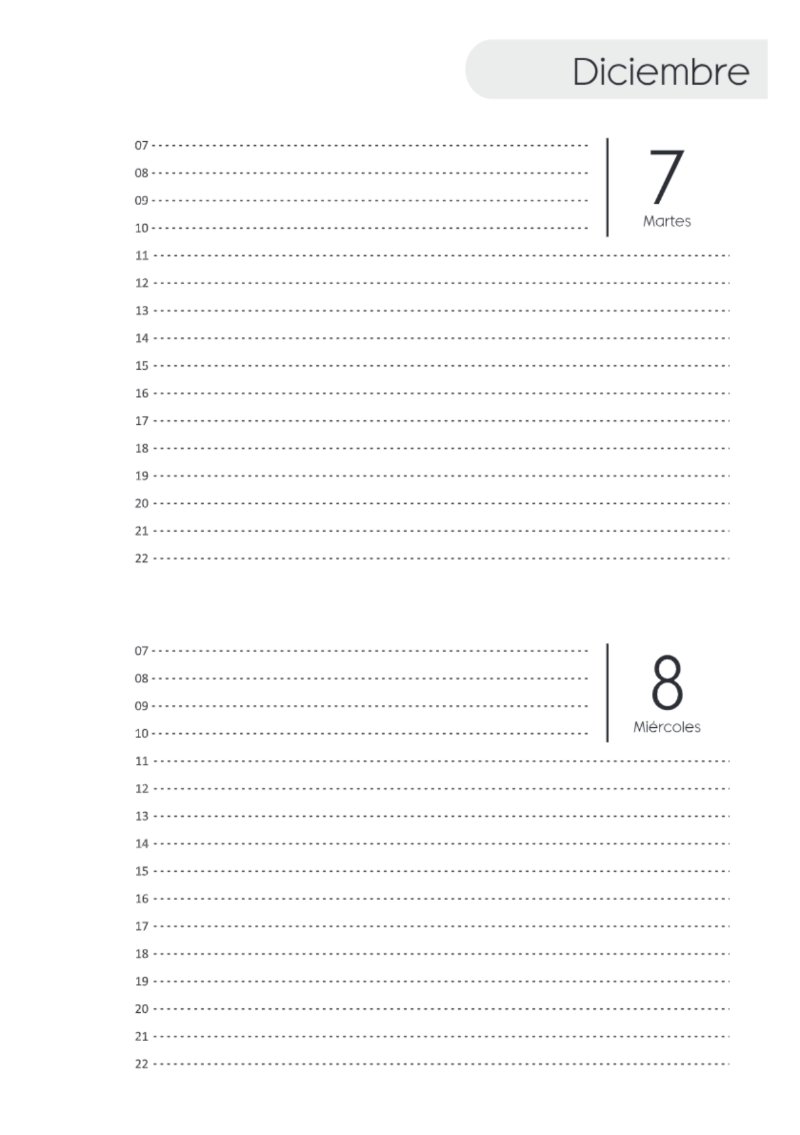 AGENDA DOS DIAS HORIZONTAL — page 249