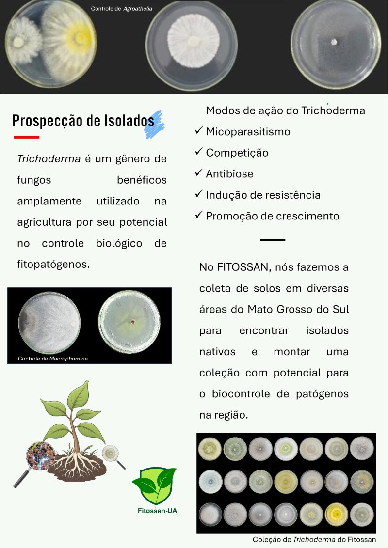 Fitossan - PantanalTech 2026 — page 2