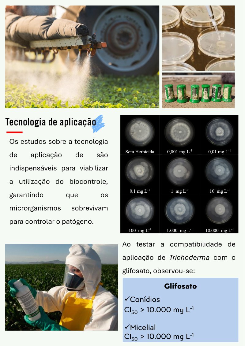 Fitossan - PantanalTech 2026 — page 3