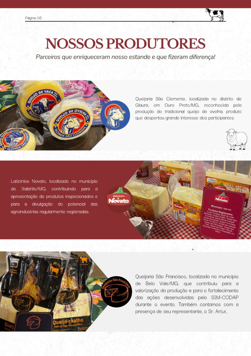 REVISTA SIM-CODAP (1) — page 5