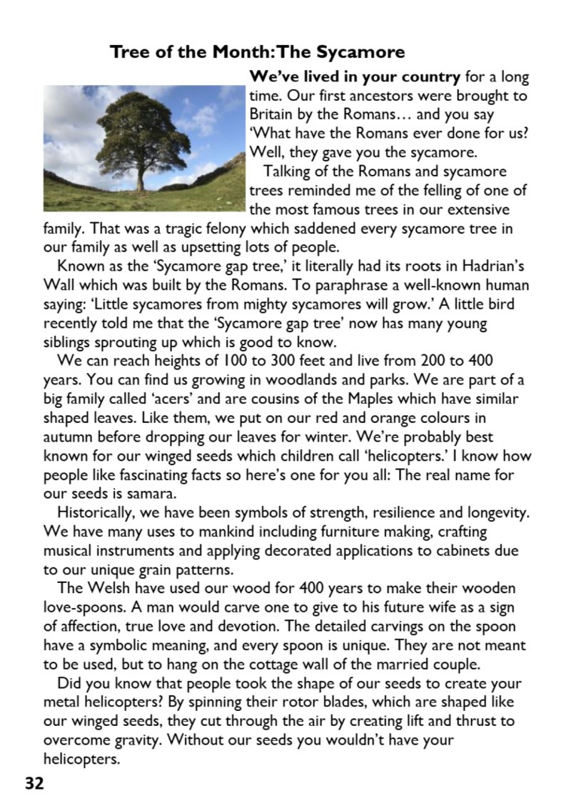 St Mary the Blesssed Virgin Magazine October 2026 — page 32