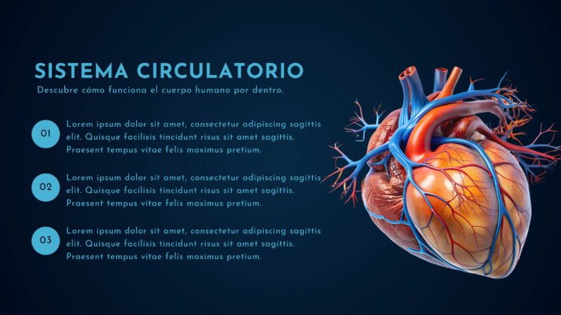 Presentación de anatomía del cuerpo humano moderno científico azul y celeste — page 6