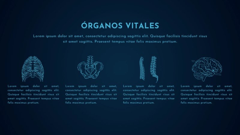 Presentación de anatomía del cuerpo humano moderno científico azul y celeste — page 8