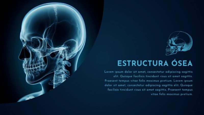 Presentación de anatomía del cuerpo humano moderno científico azul y celeste — page 9