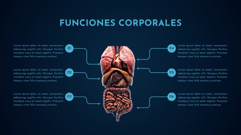 Presentación de anatomía del cuerpo humano moderno científico azul y celeste — page 10