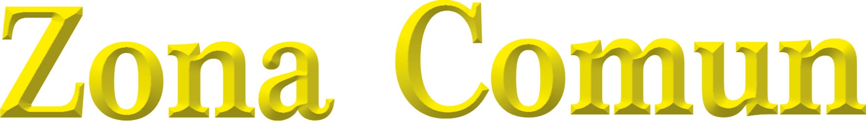 Revista Zona Comun