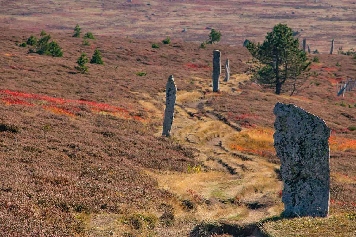 Chemin de stevenson: hikers and trail scenery