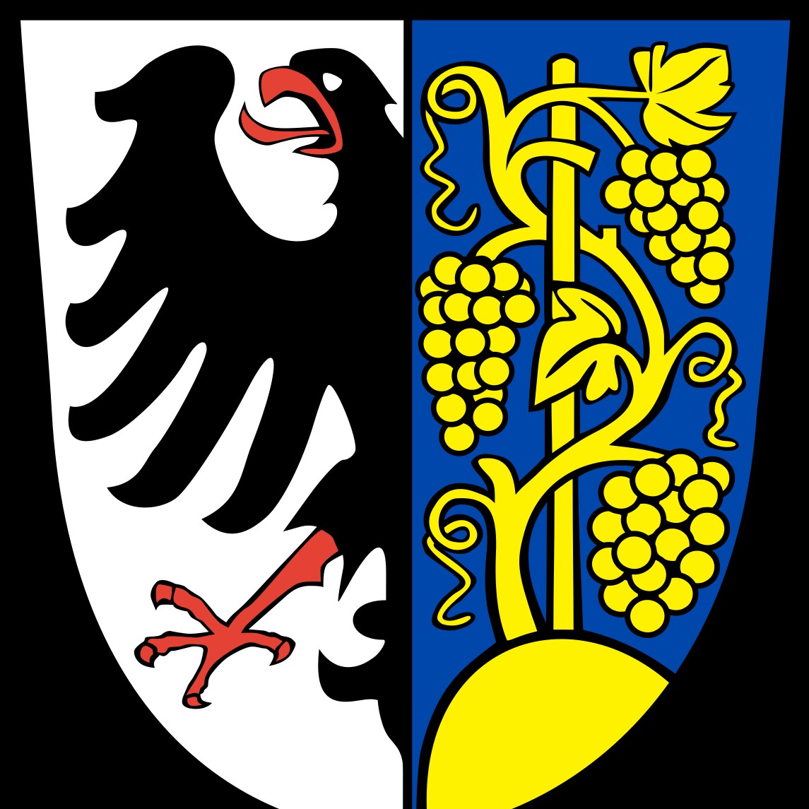 TSV Weinsberg