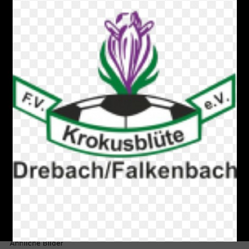 F.V Krokusblüte Drebach/ Falkenbach e.V 