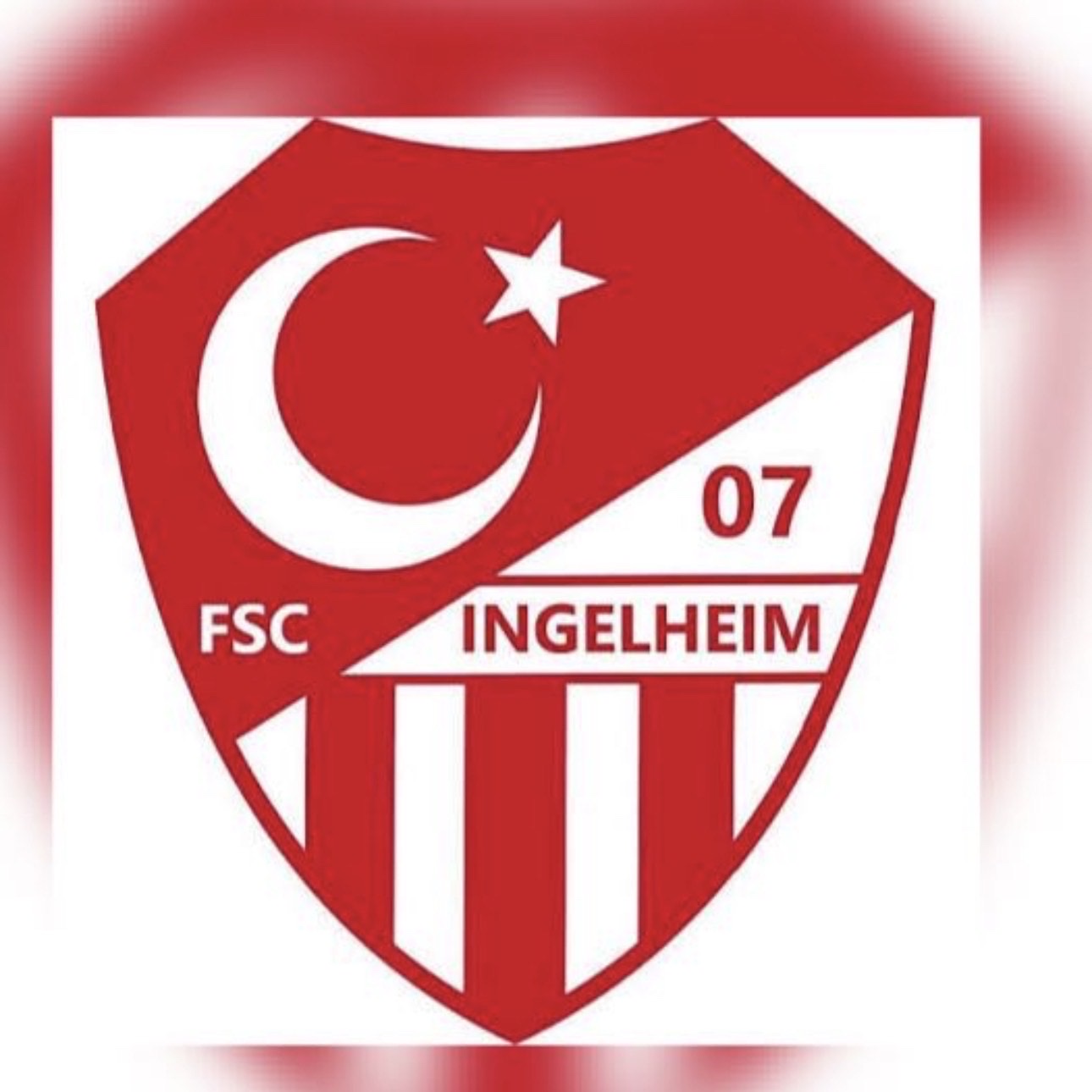 Fsc Ingelheim 07