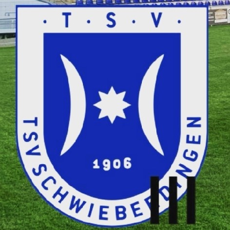 TSV Schwieberdingen 