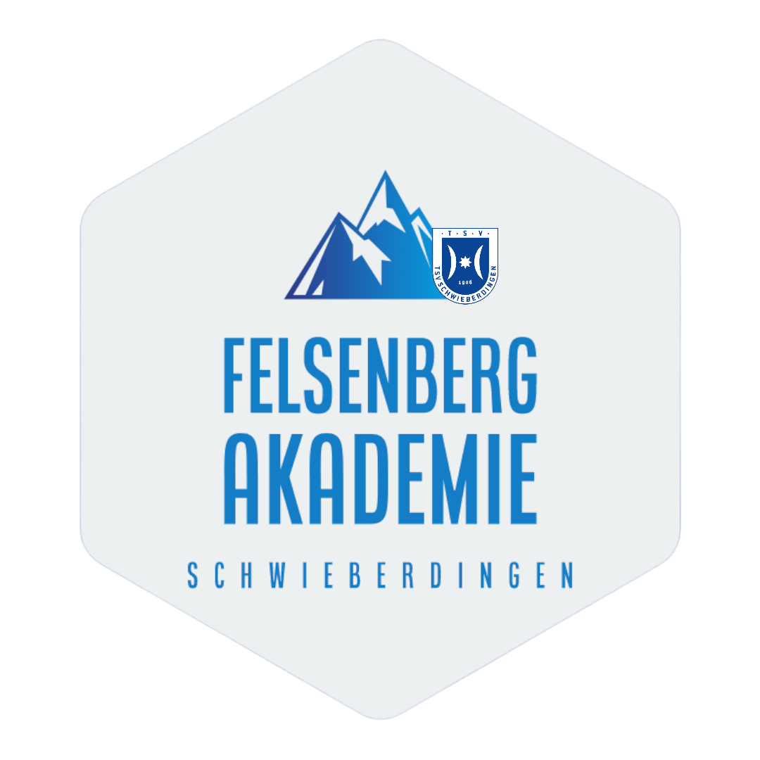 TSV Schwieberdingen