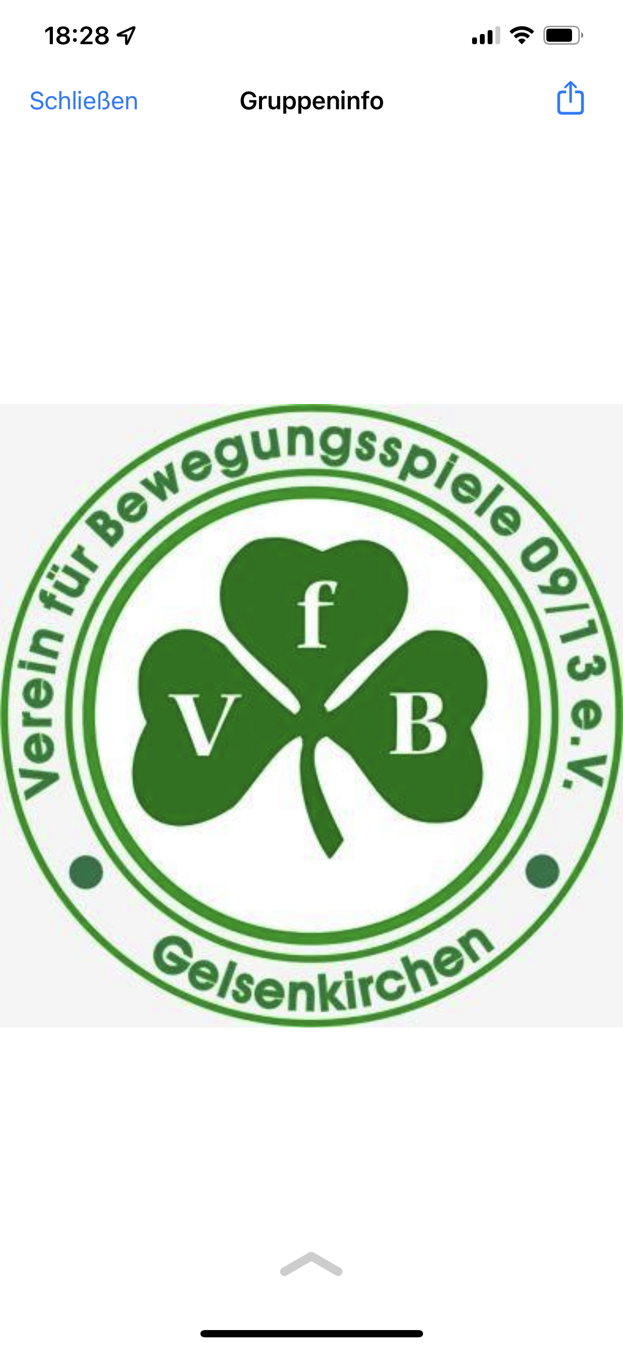 VfB Gelsenkirchen 