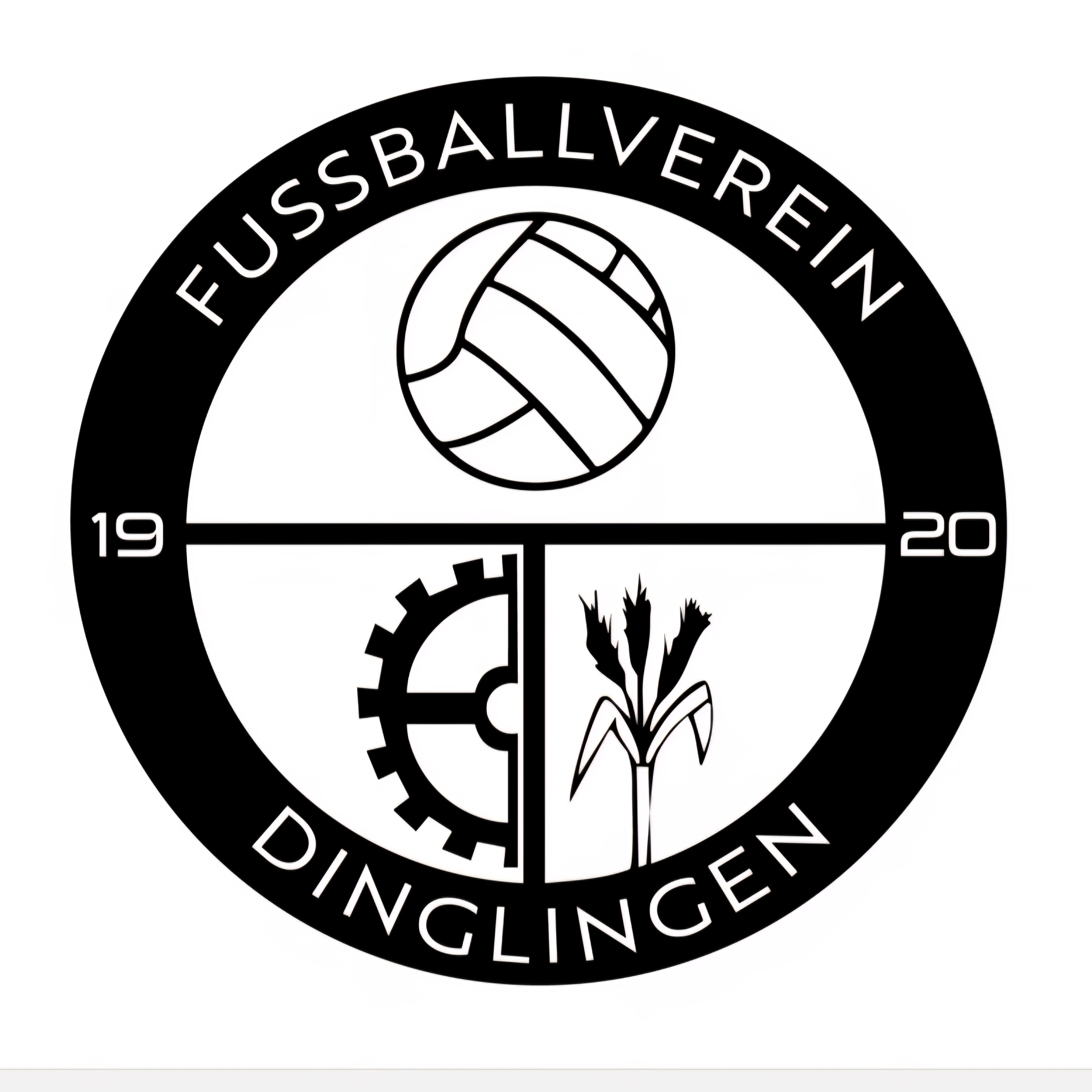 FV Dinglingen