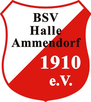 BSV Halle Ammendorf 1910 e.V.