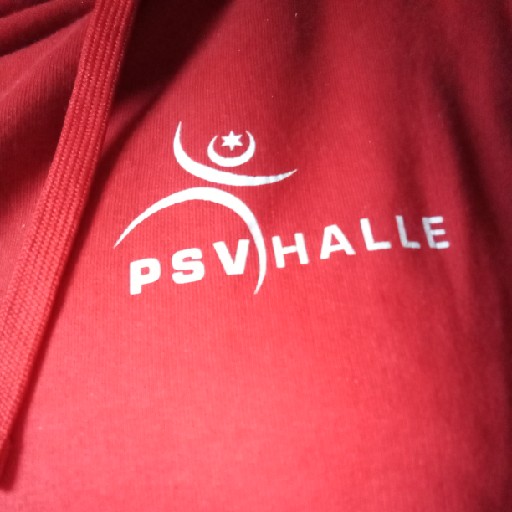 PSV Halle Herren 