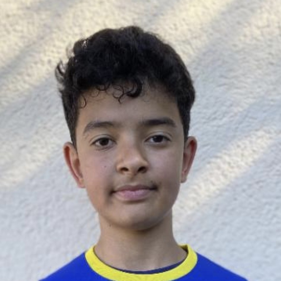 Mohammed Javad Najafi