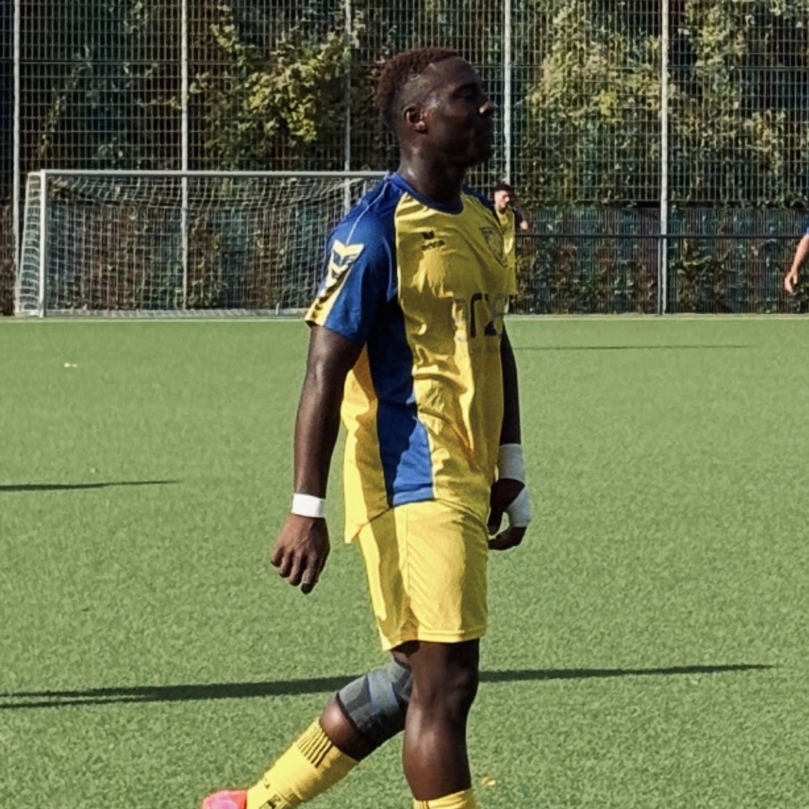 Faithful Gold-Toluhi