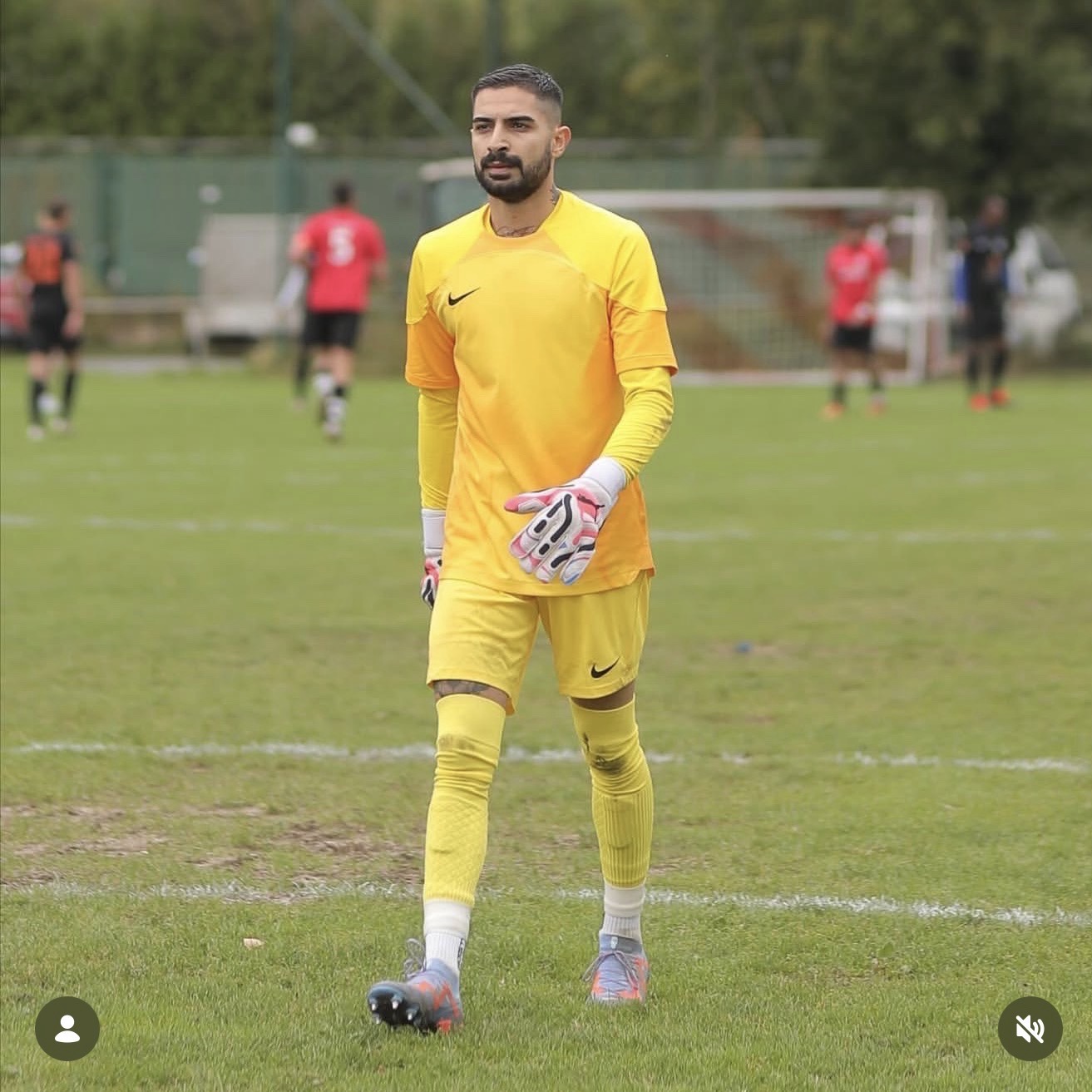 Mert Leonardo Barcedogmus