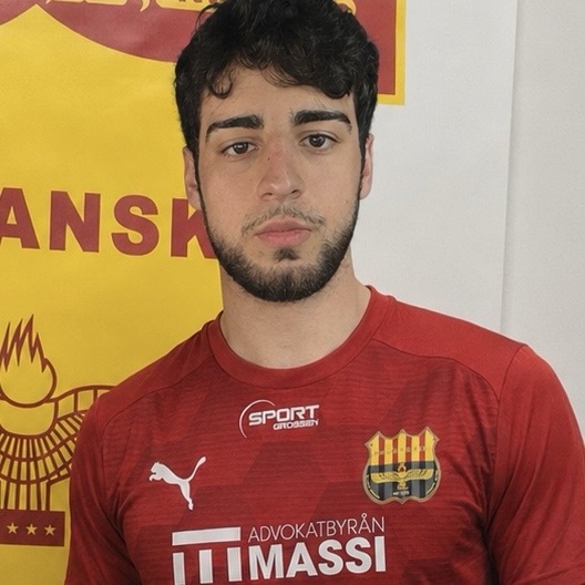 Luka Meshvelashvili