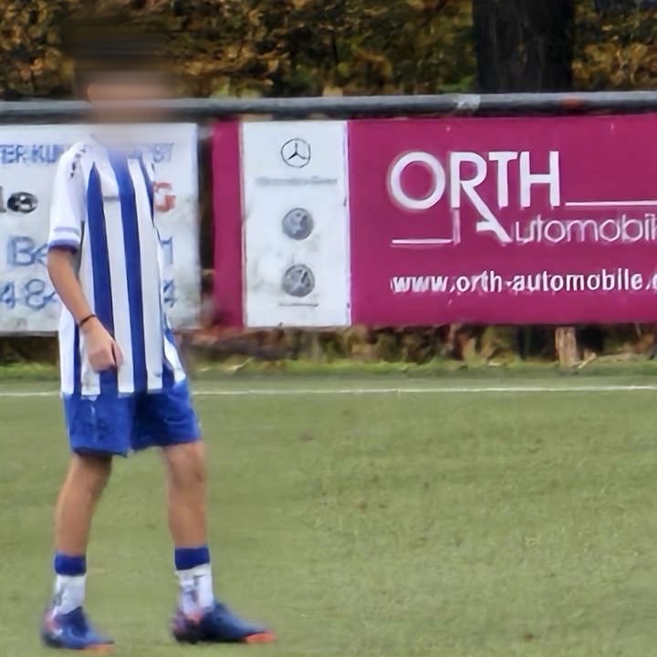 Tiago-Luis Fernandes-Ferreira