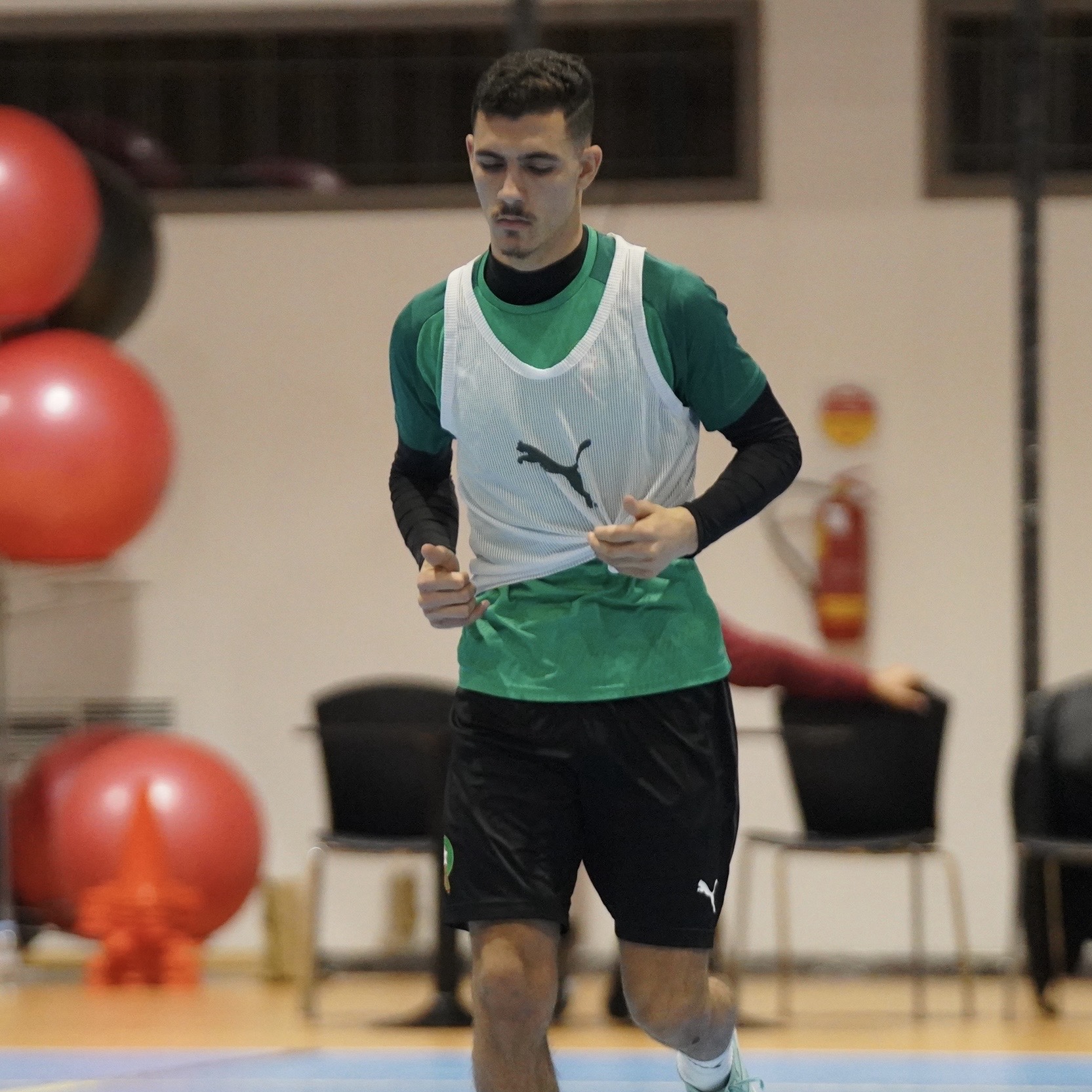 Haytham Snoussi