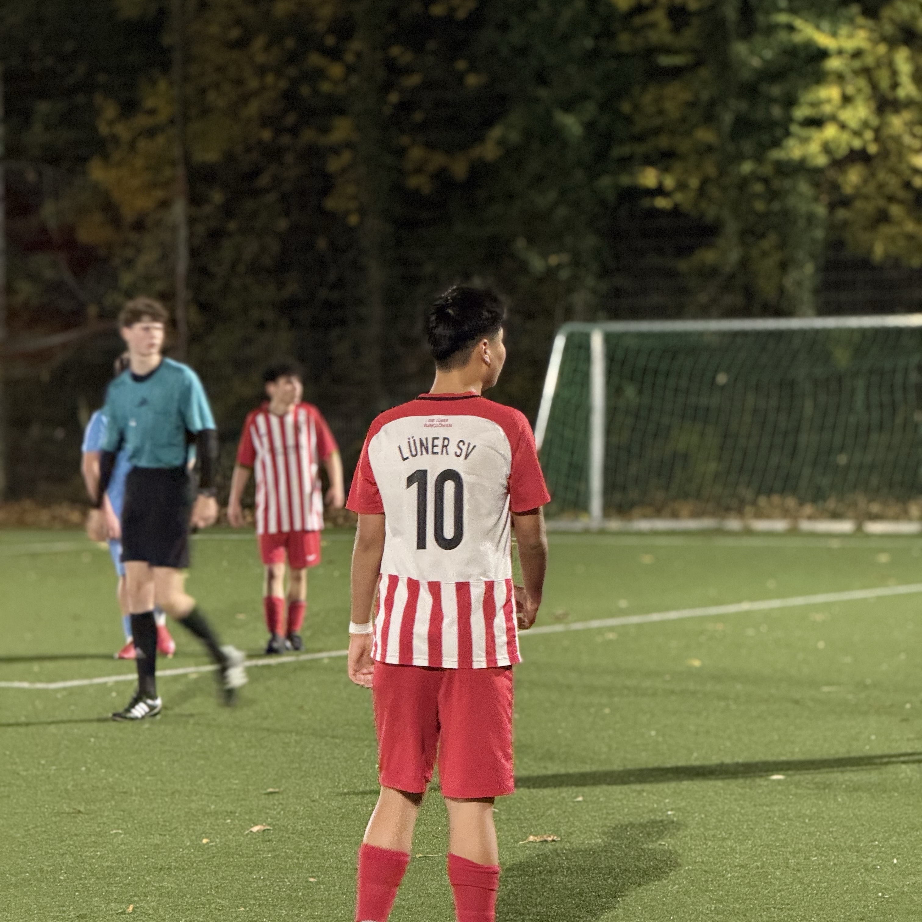 Sayed Amir Ali Alavi