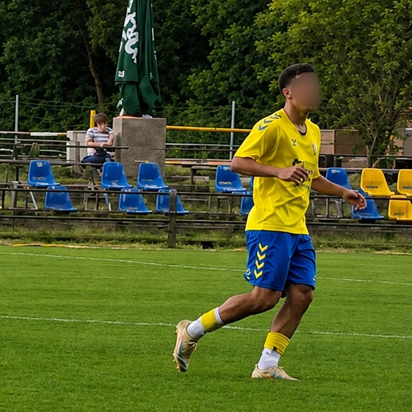 Hayk Torosyan