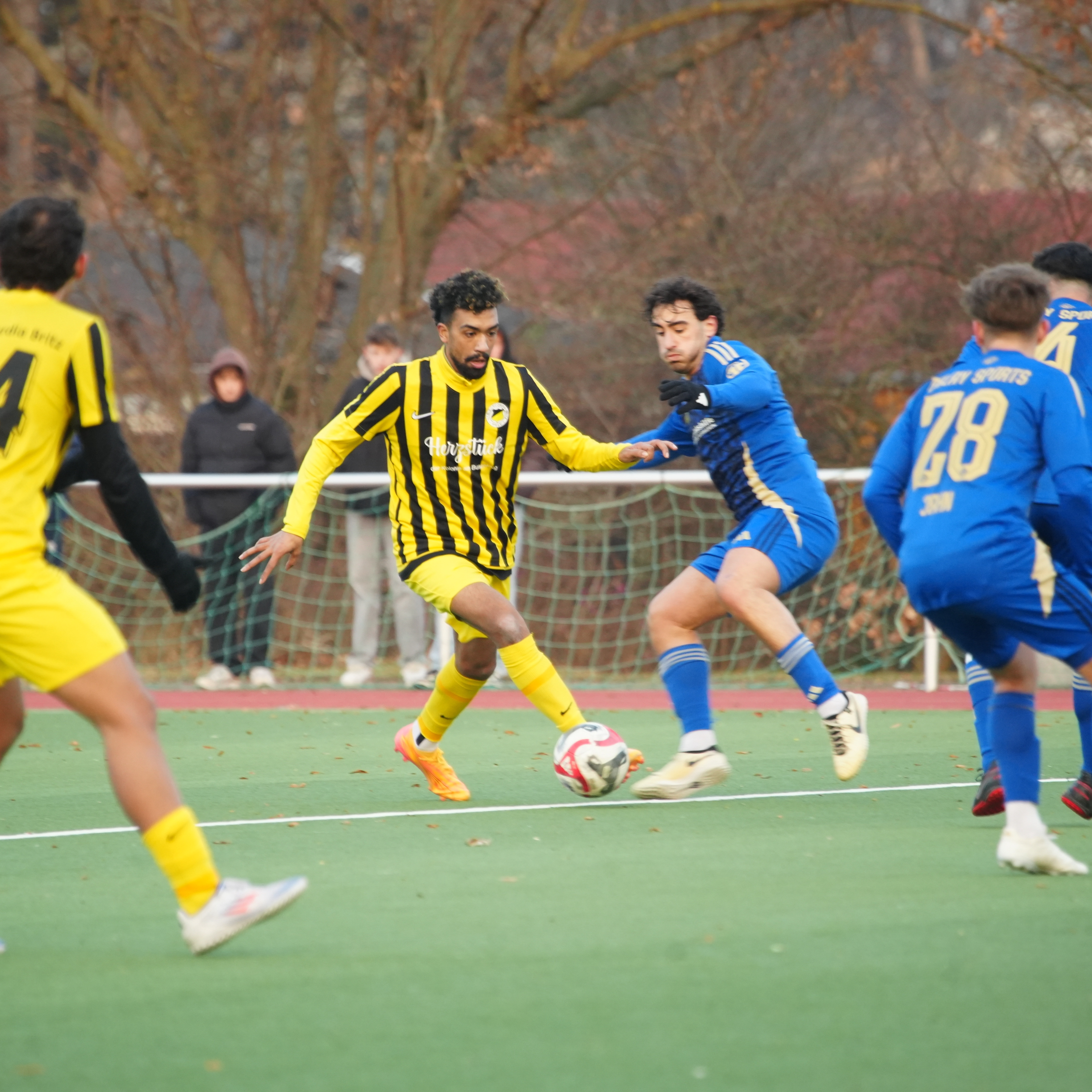 Omar Aly