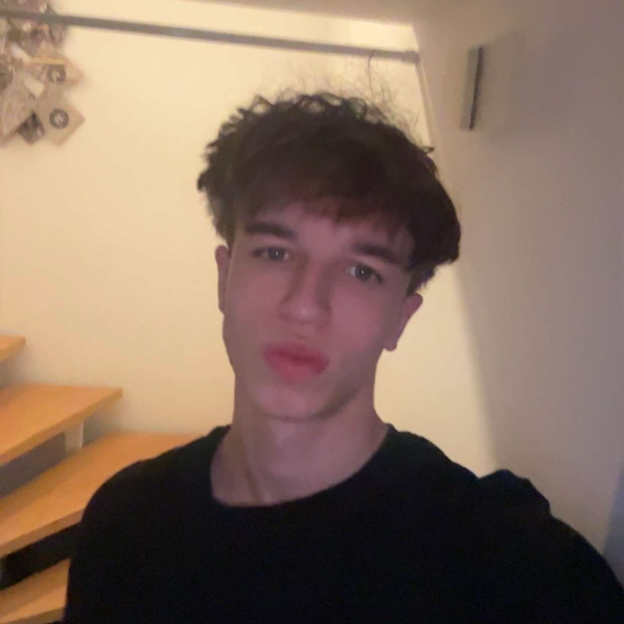 Paul Louis Stephan Alt