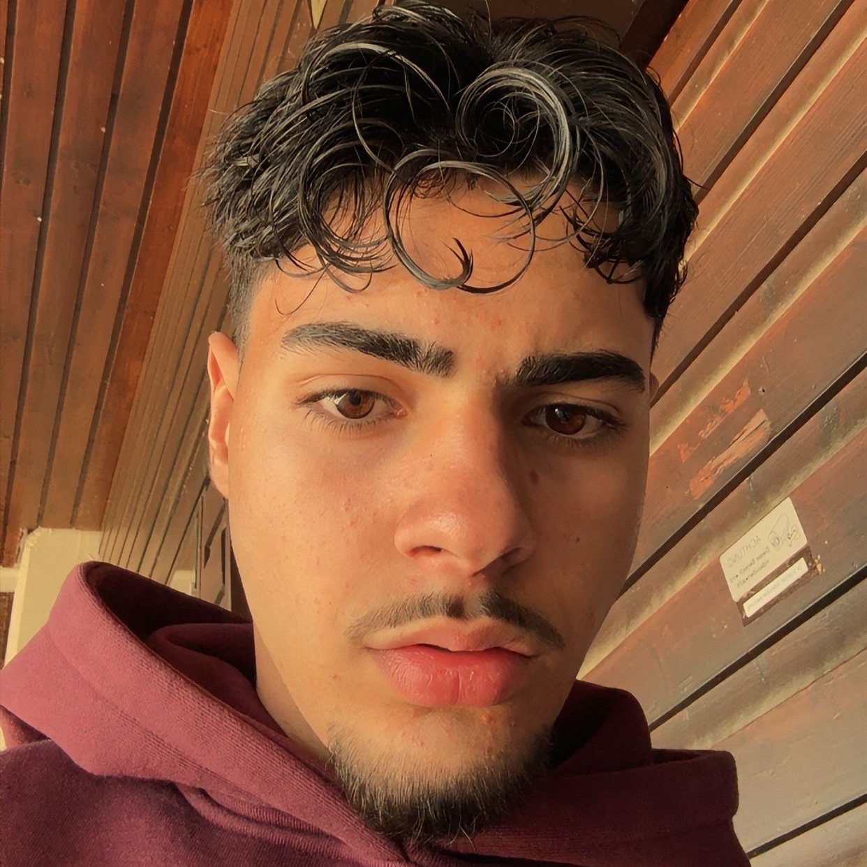 Arion Azemi