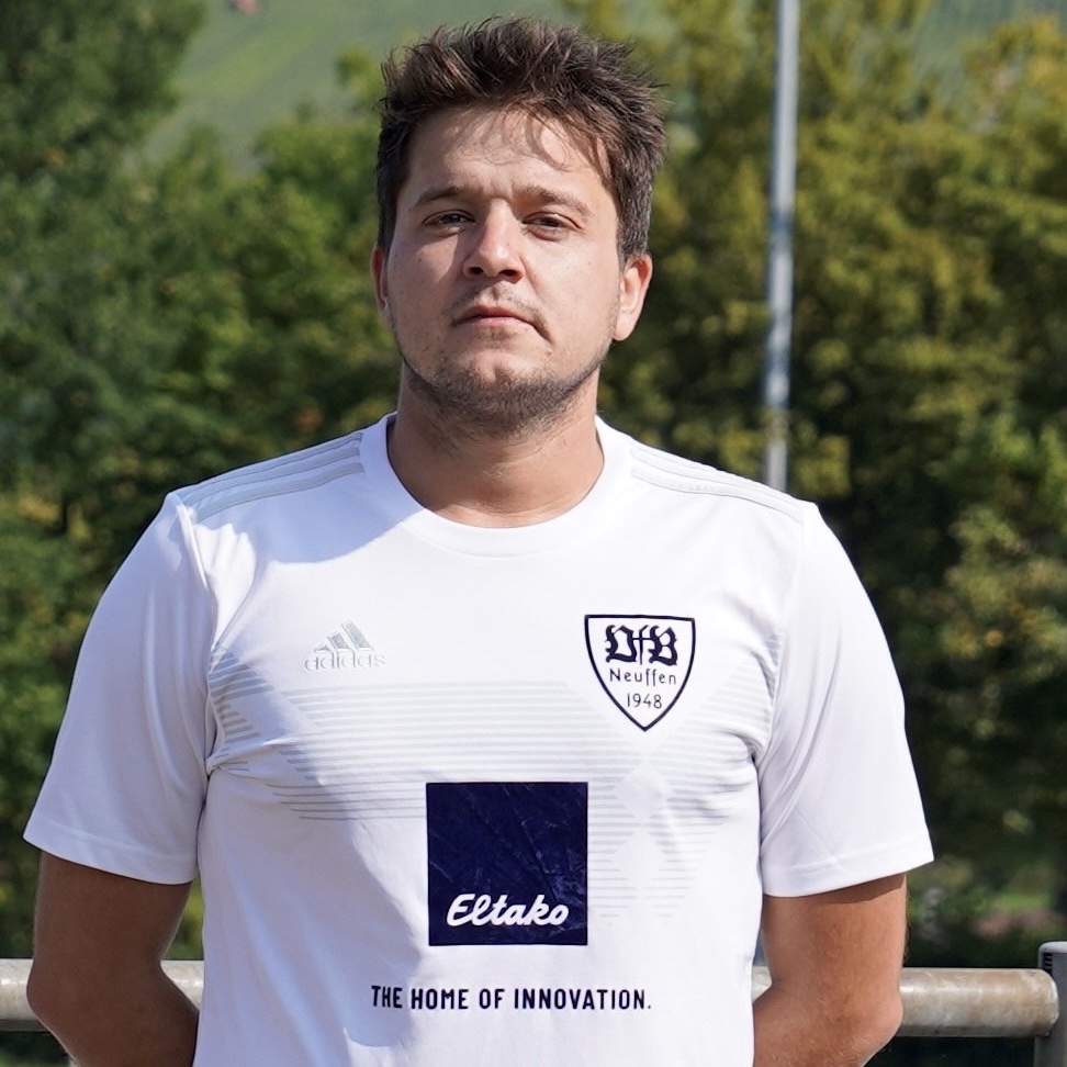 Damir Hanjalic