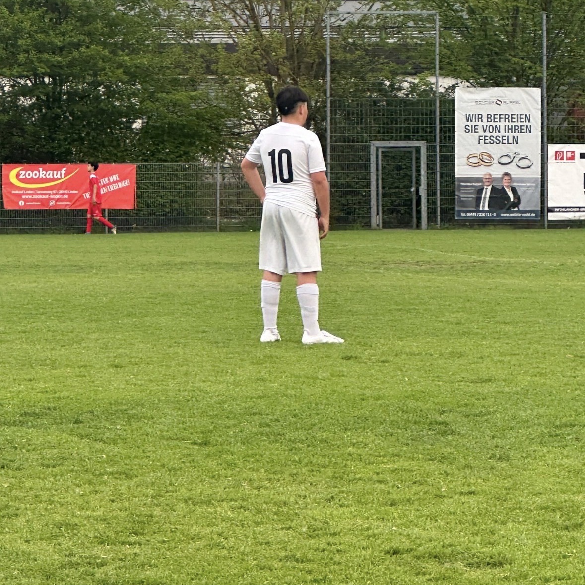 Giulio Lucente