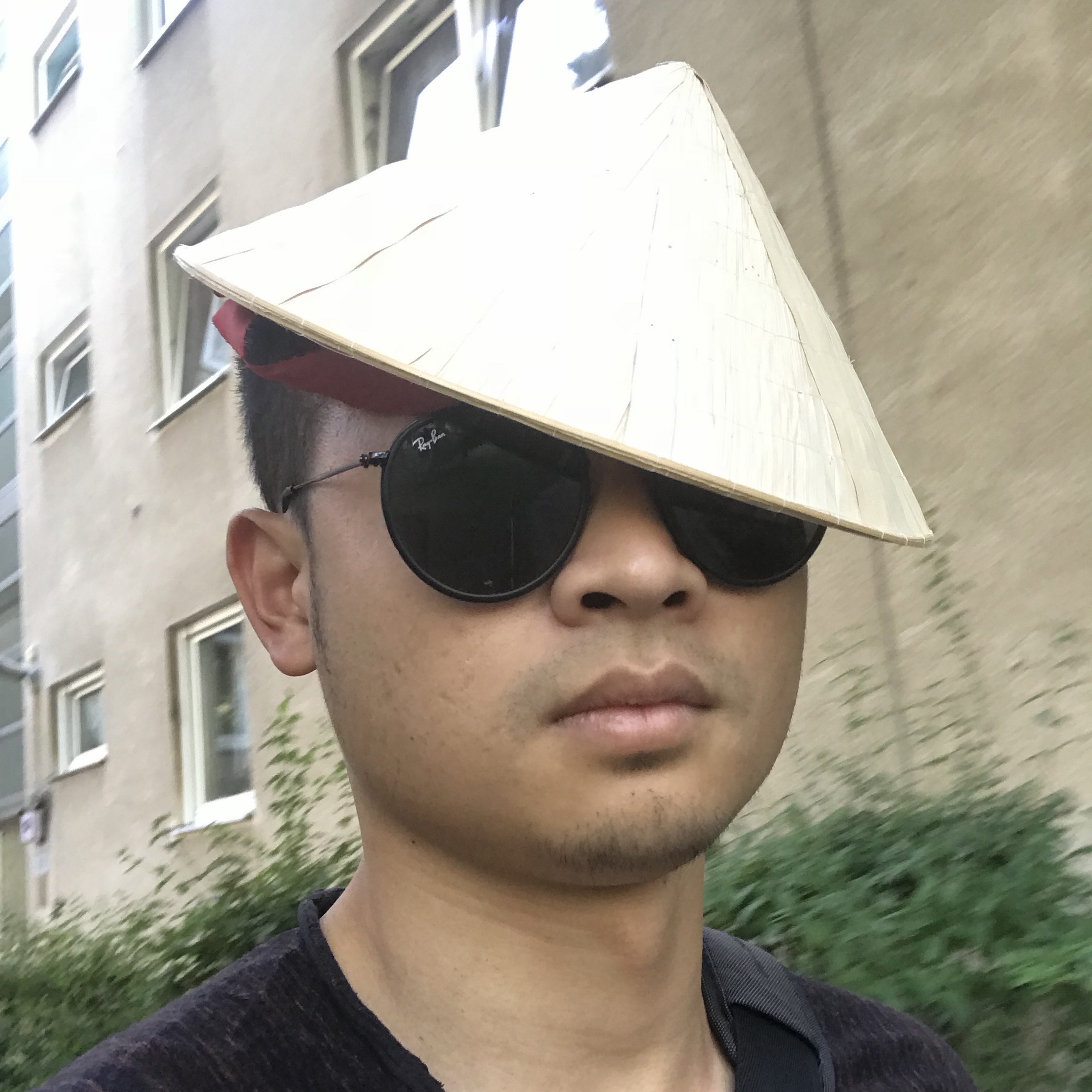 Hong Phong Le