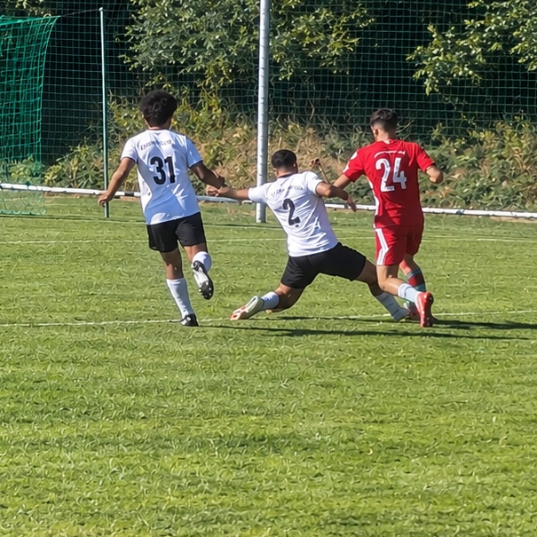 Ali Manssour