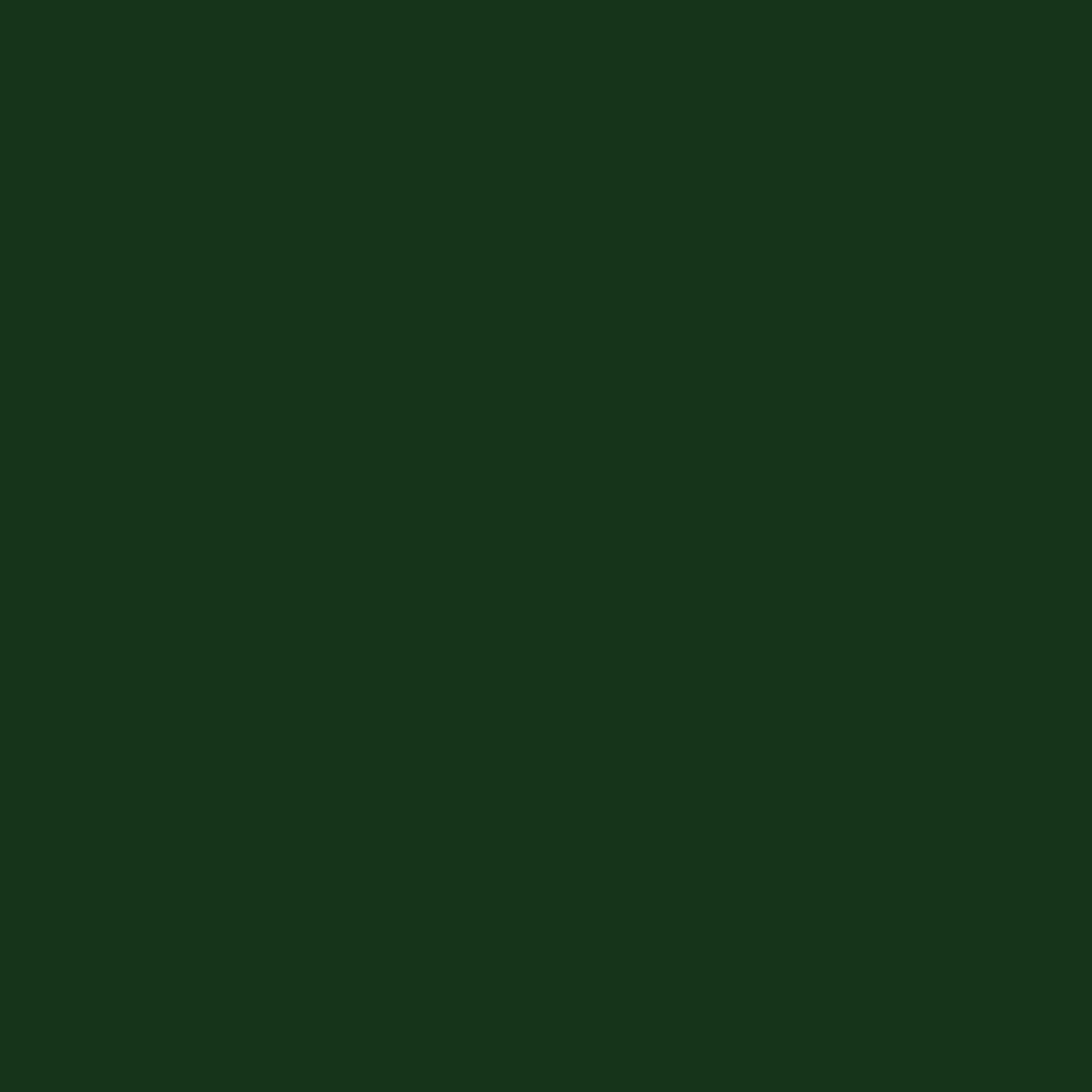 Allien Species《16351b》