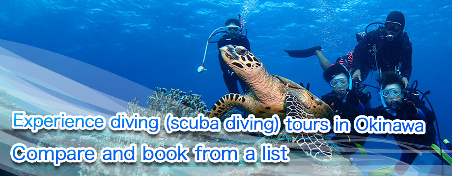 Introductory Diving