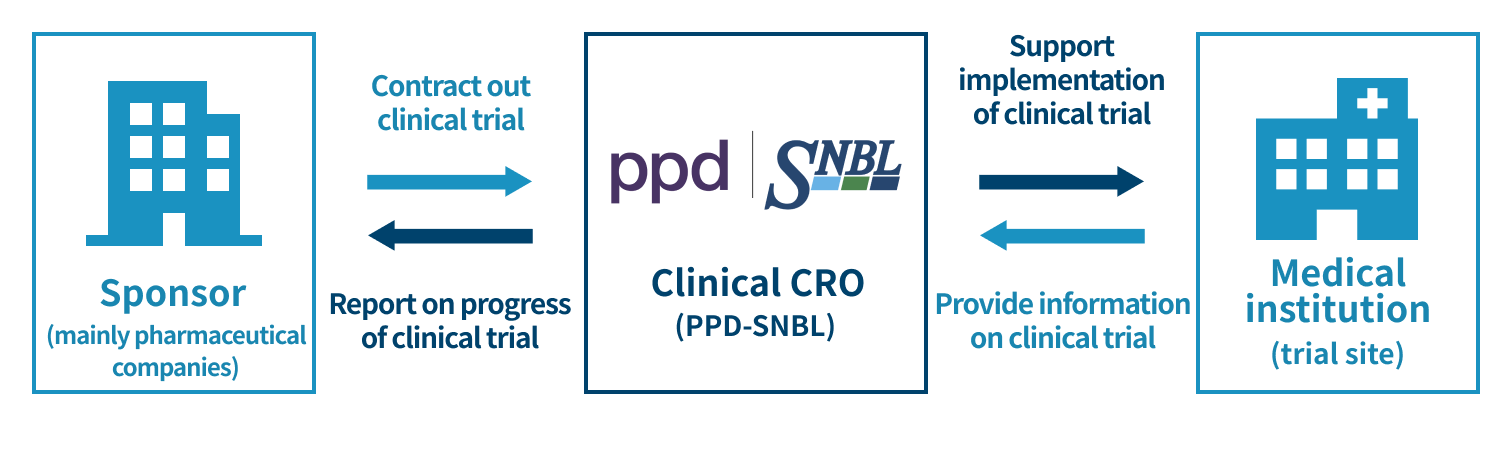 The role of clinical CROs in pharmaceutical development
