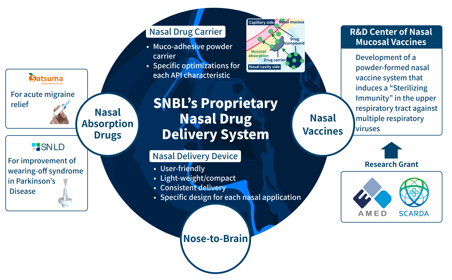 The role of clinical CROs in pharmaceutical development