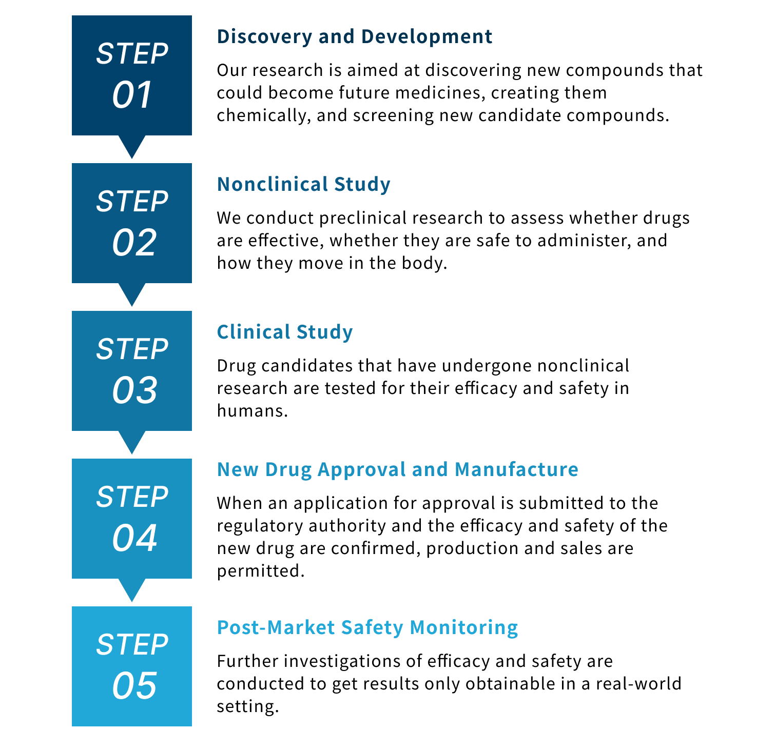 Image of the pharmaceutical development process