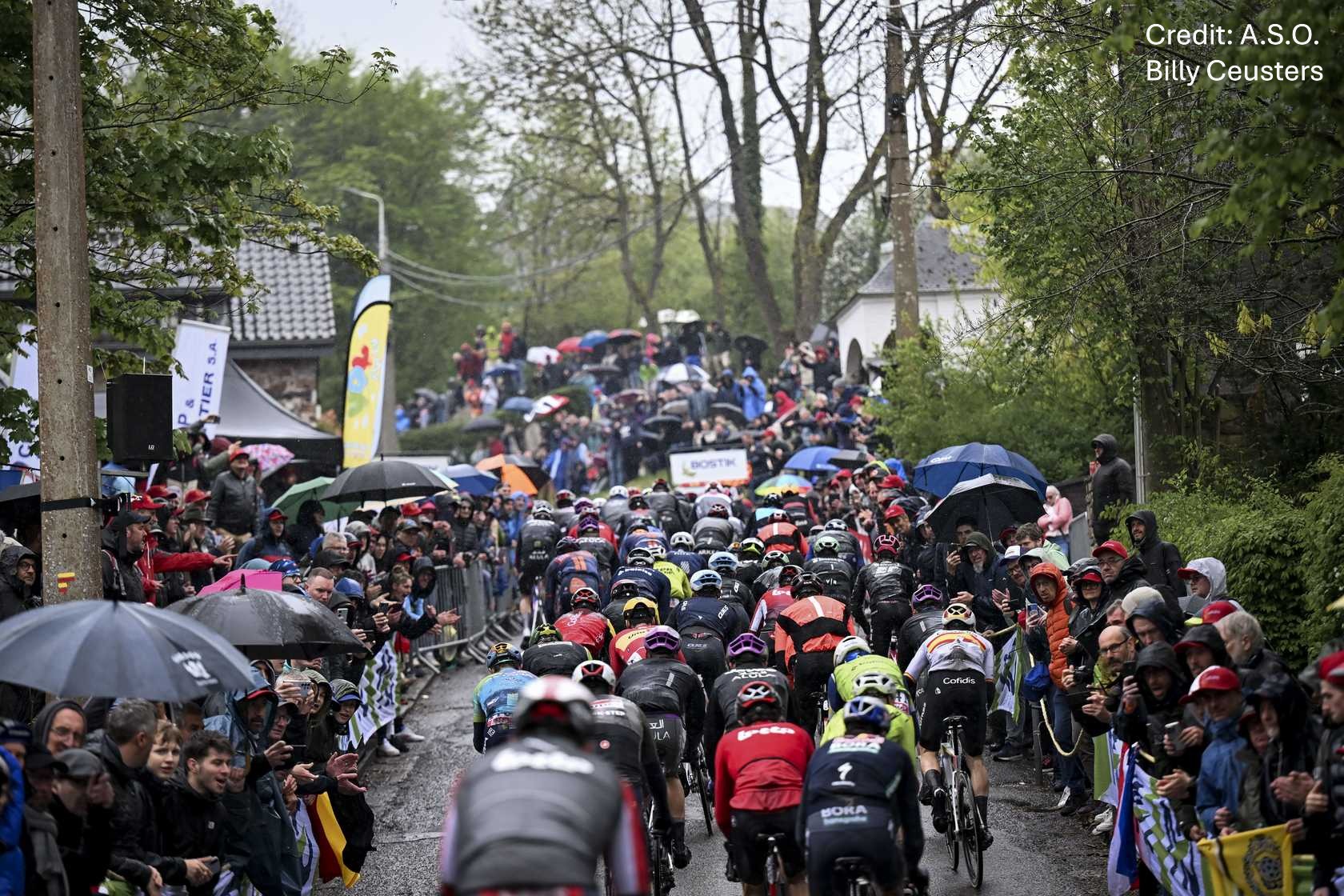 La Flèche Wallonne 2025 - View 5