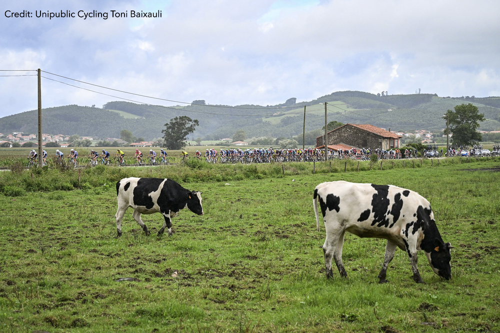 La Vuelta Ciclista a España 2024 Stage 17 - View 3
