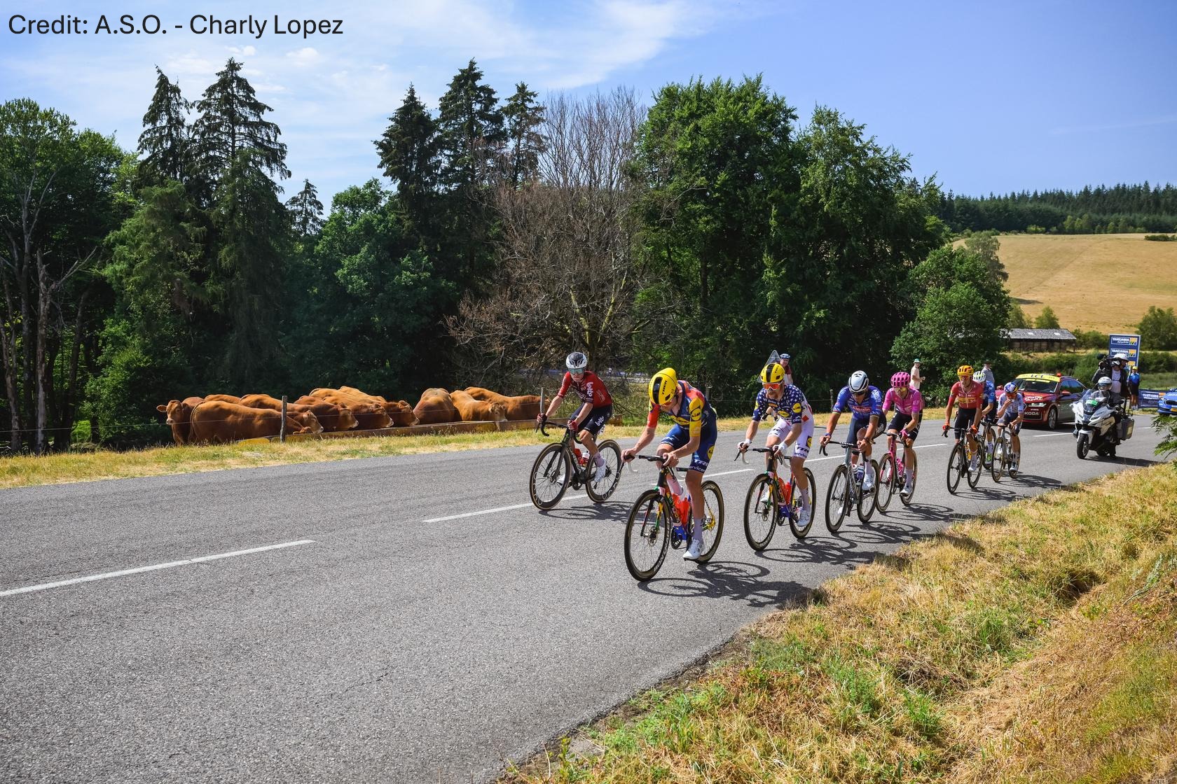 Tour de France 2026 Stage 9 - View 4
