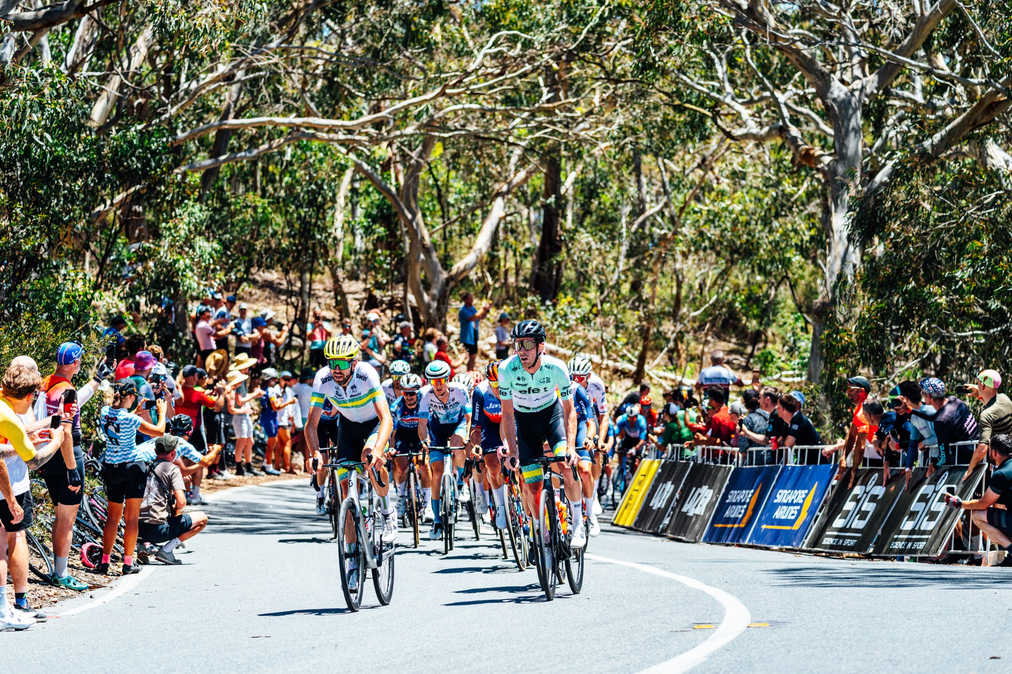 Santos Tour Down Under 2024 Stage 5 - View 2