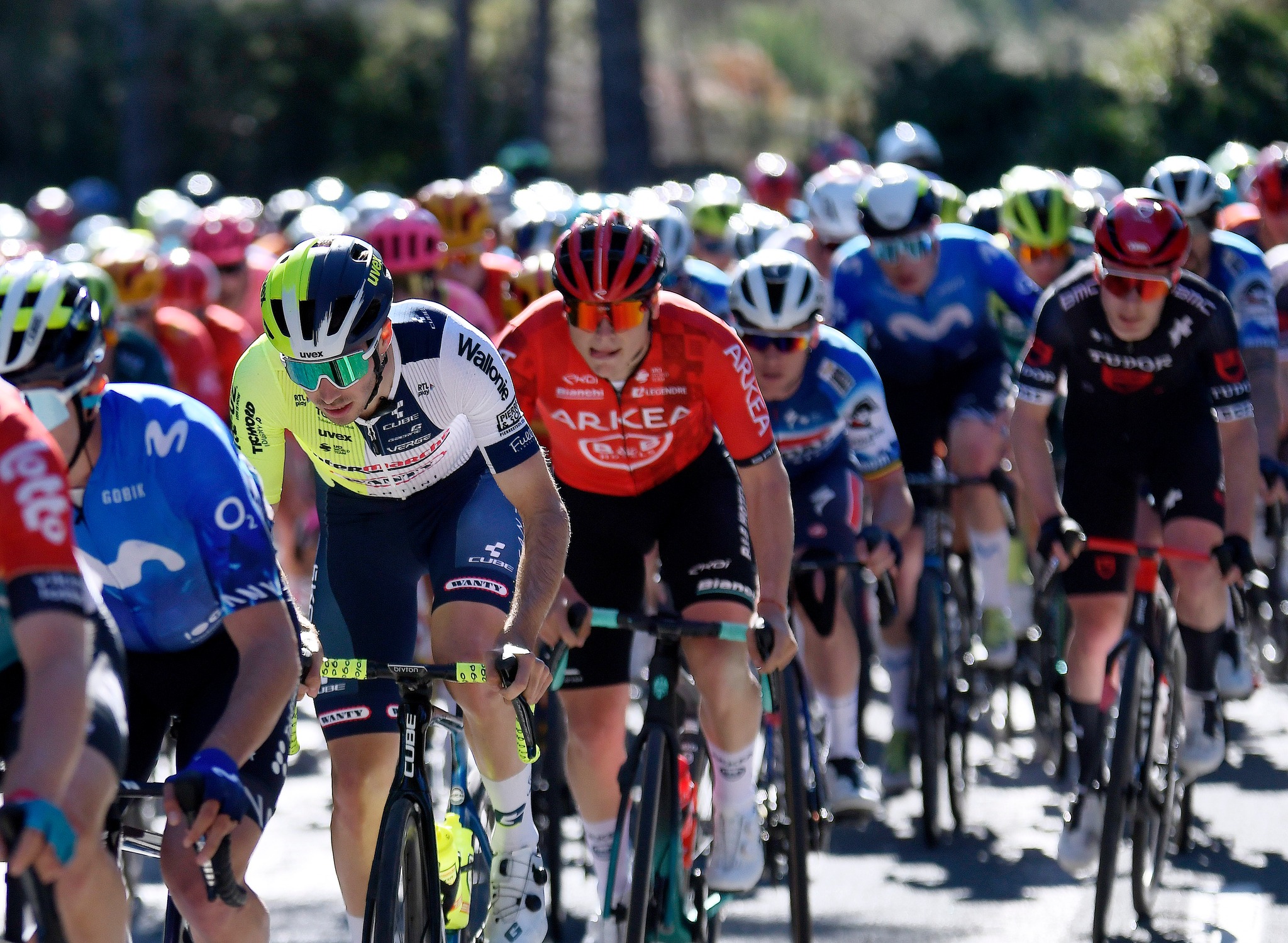 Trofeo Calvià 2024 - View 2