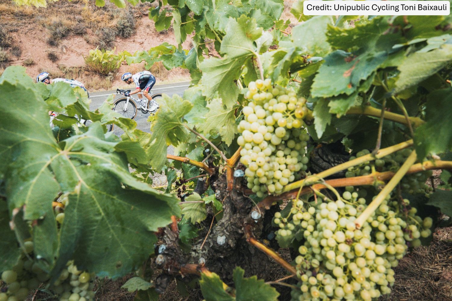 La Vuelta Ciclista a España 2025 Stage 9 - View 3